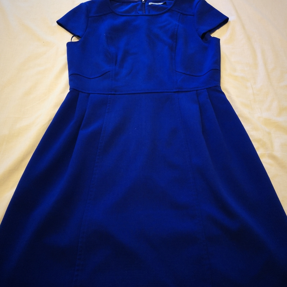 Eliza J blue dress